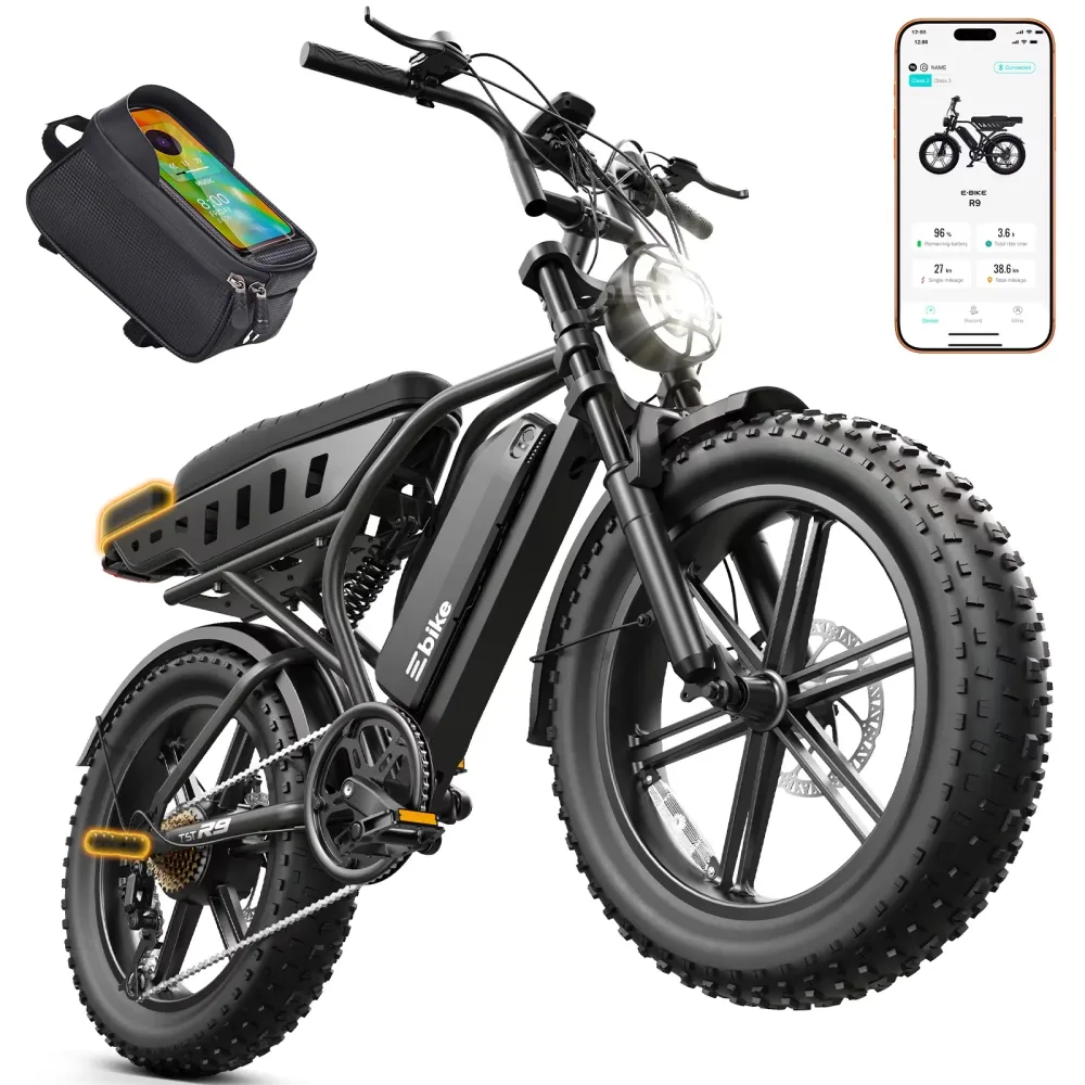Electric Bike 750w 48v black