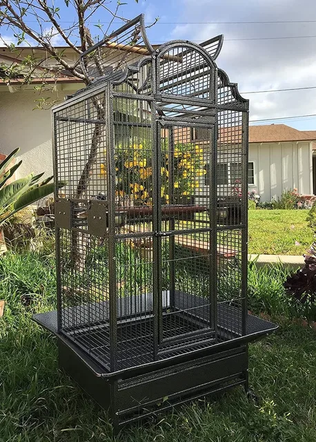 Bird Parrot 30.5 inches 29.5 inches 63 inches