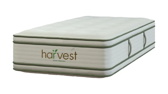 Pillow green 15"