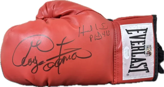 Boxing Glove red