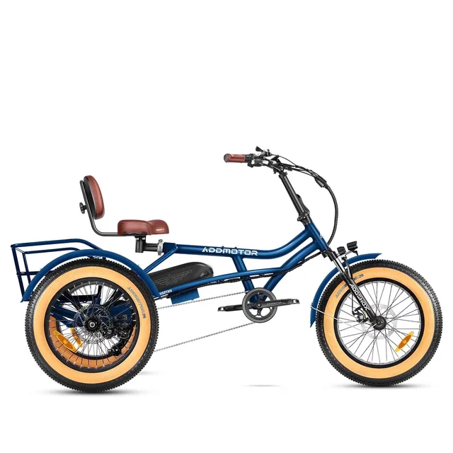 Electric Bike 750w 48v 380lbs