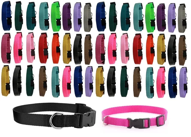 Dog Collar 16 inch adjustable