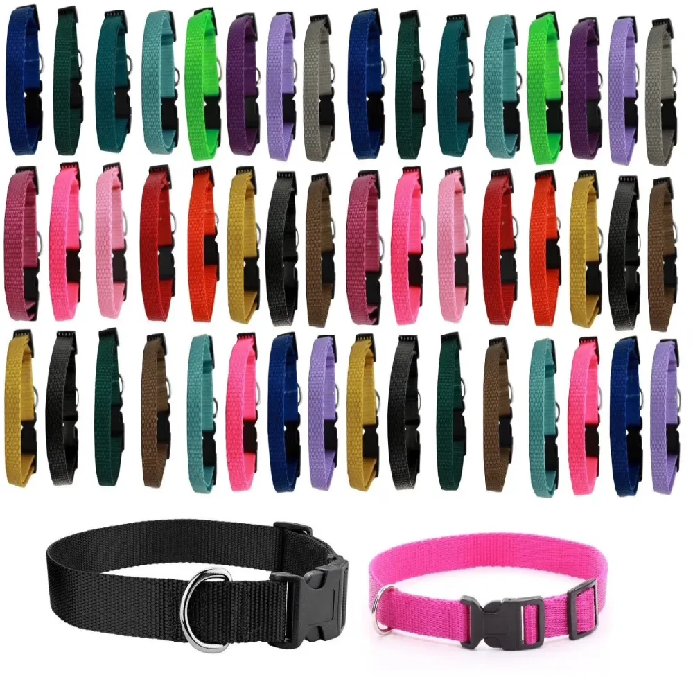 Dog Collar 16 inch adjustable