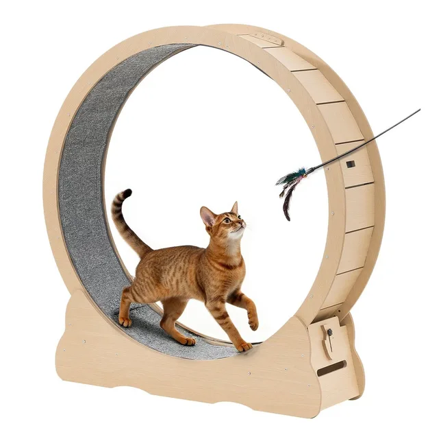 Exercise Wheel 48in 28lbs locking
