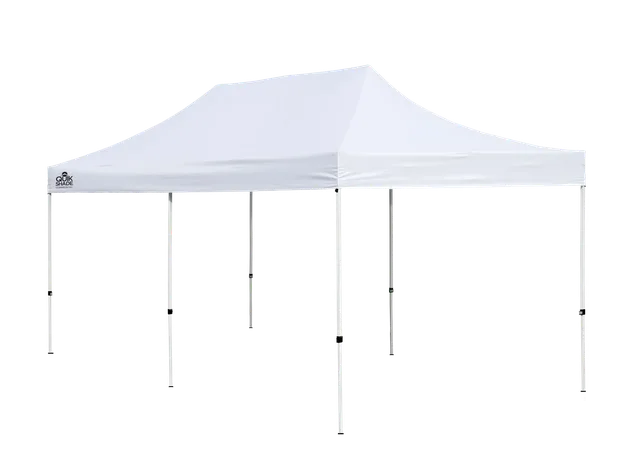 Canopy 10' 20' white