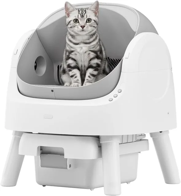 Cat Litter