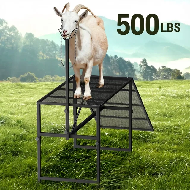 Grooming 500lbs 33" foldable