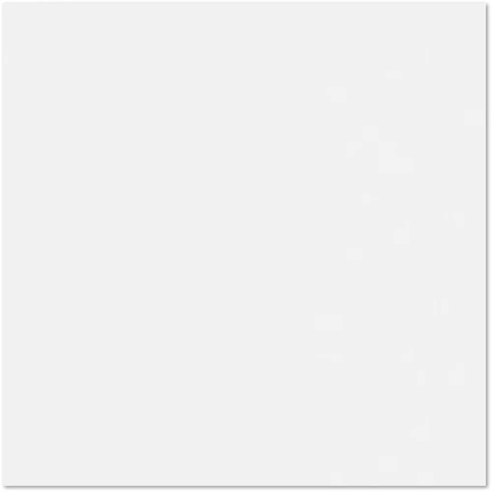 Paper Products 100lb white 12 in