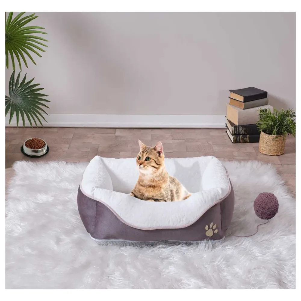 Pet Bed 70 lbs portable