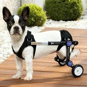 Mobility Cart