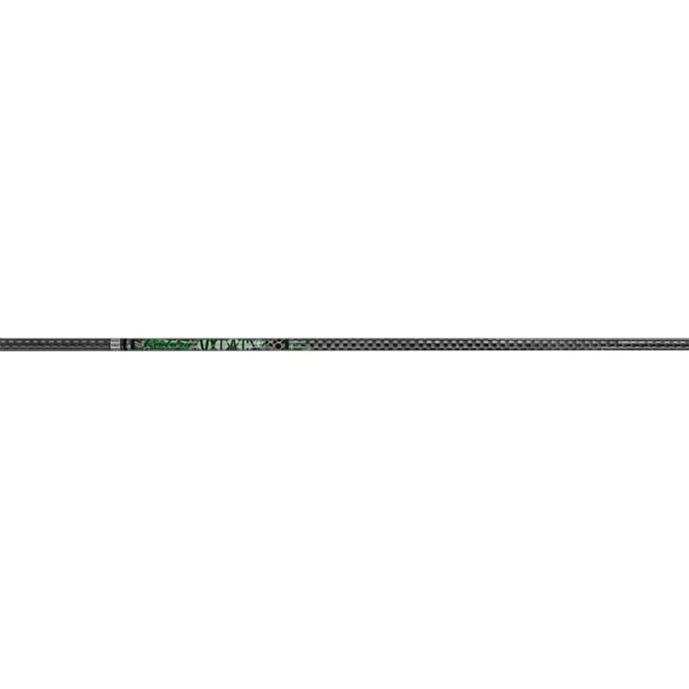 Bows & Arrows 003"