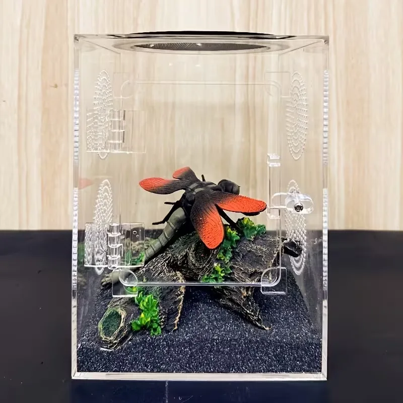 Reptile