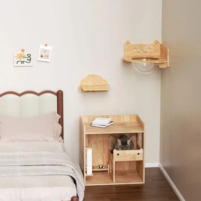 Furniture & Enrichment