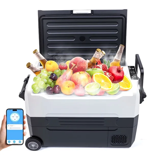 Electric Cooler 12 volt 24v 100-240v