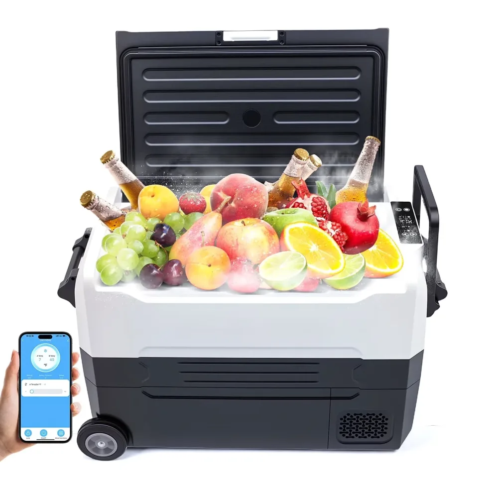 Electric Cooler 12 volt 24v 100-240v