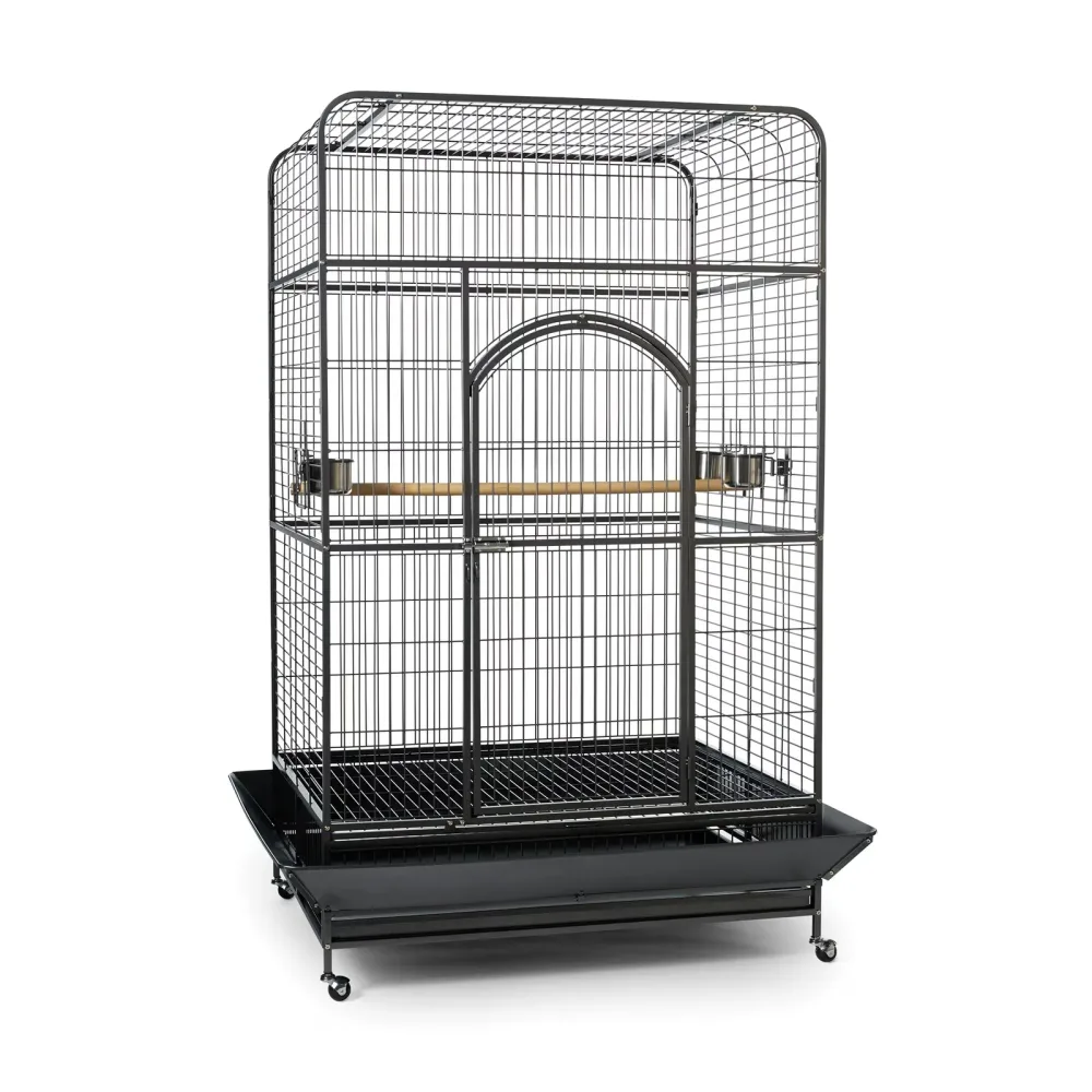 Bird Cage black 10" 8"