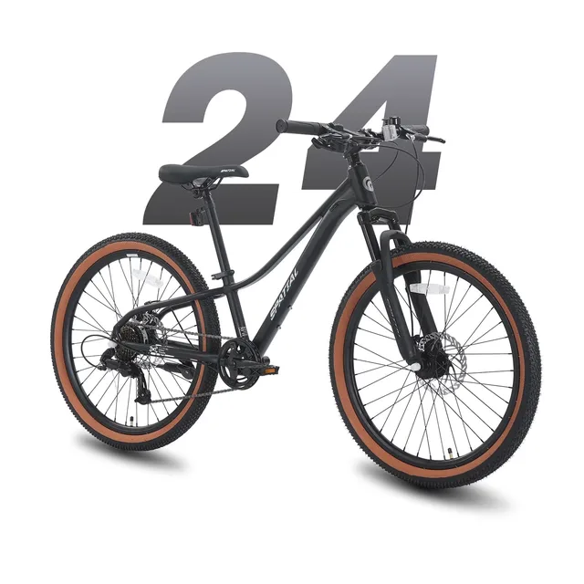 Mountain Bike 24 inch blue red