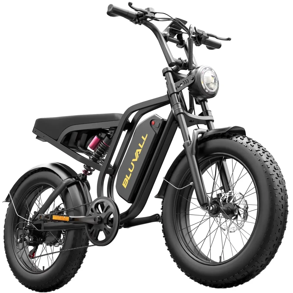 Electric Bike 1000w 48v 20"