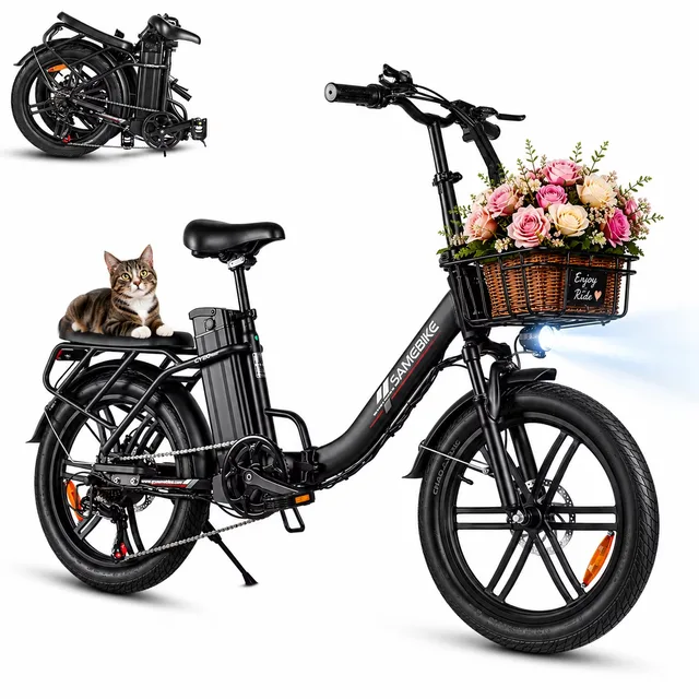Electric Bike 20" 750w foldable