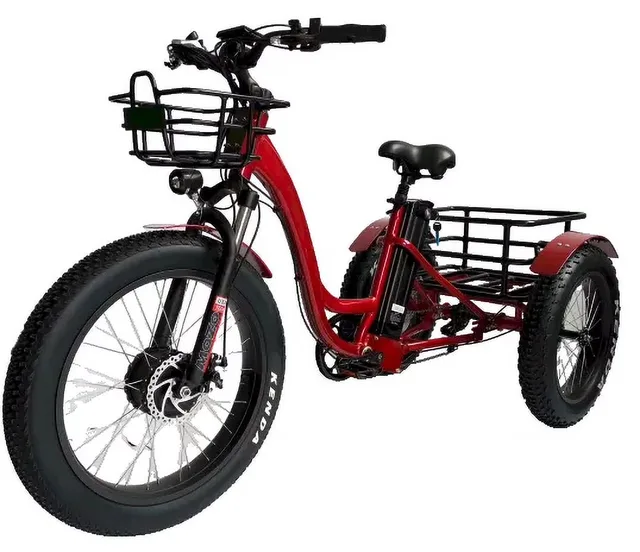 Fat Tire 750w 450 lbs 48v