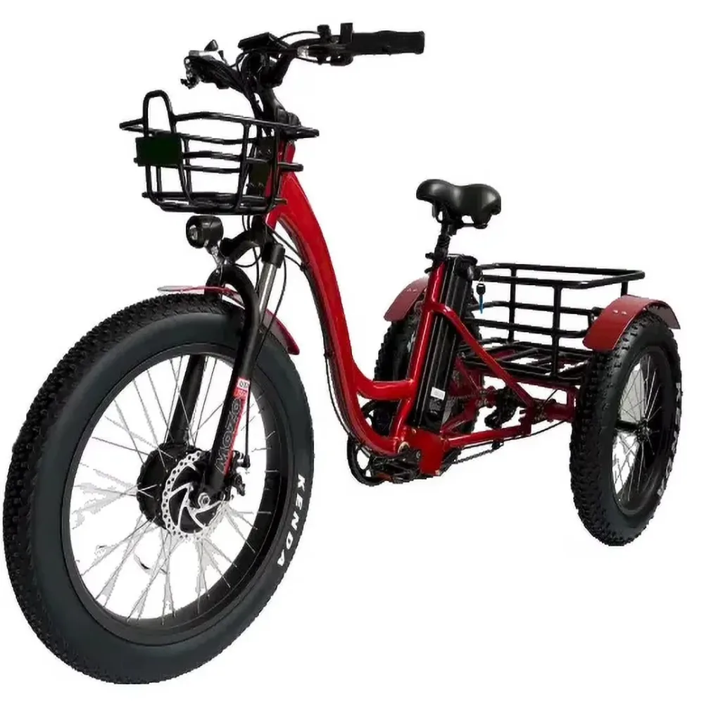 Fat Tire 750w 450 lbs 48v