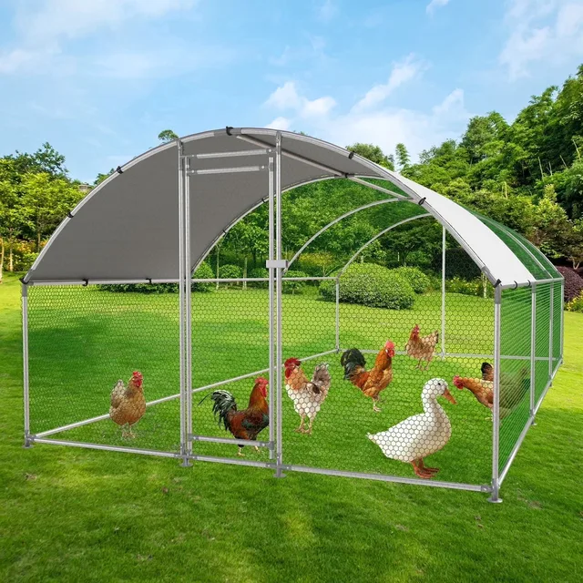 Chicken Coop 19.1' 9.5' 6.35'