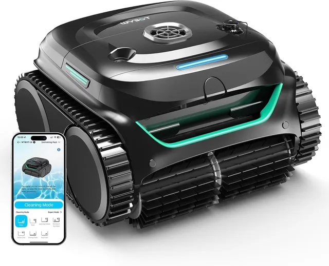 Robotic Pool 9.84ft black