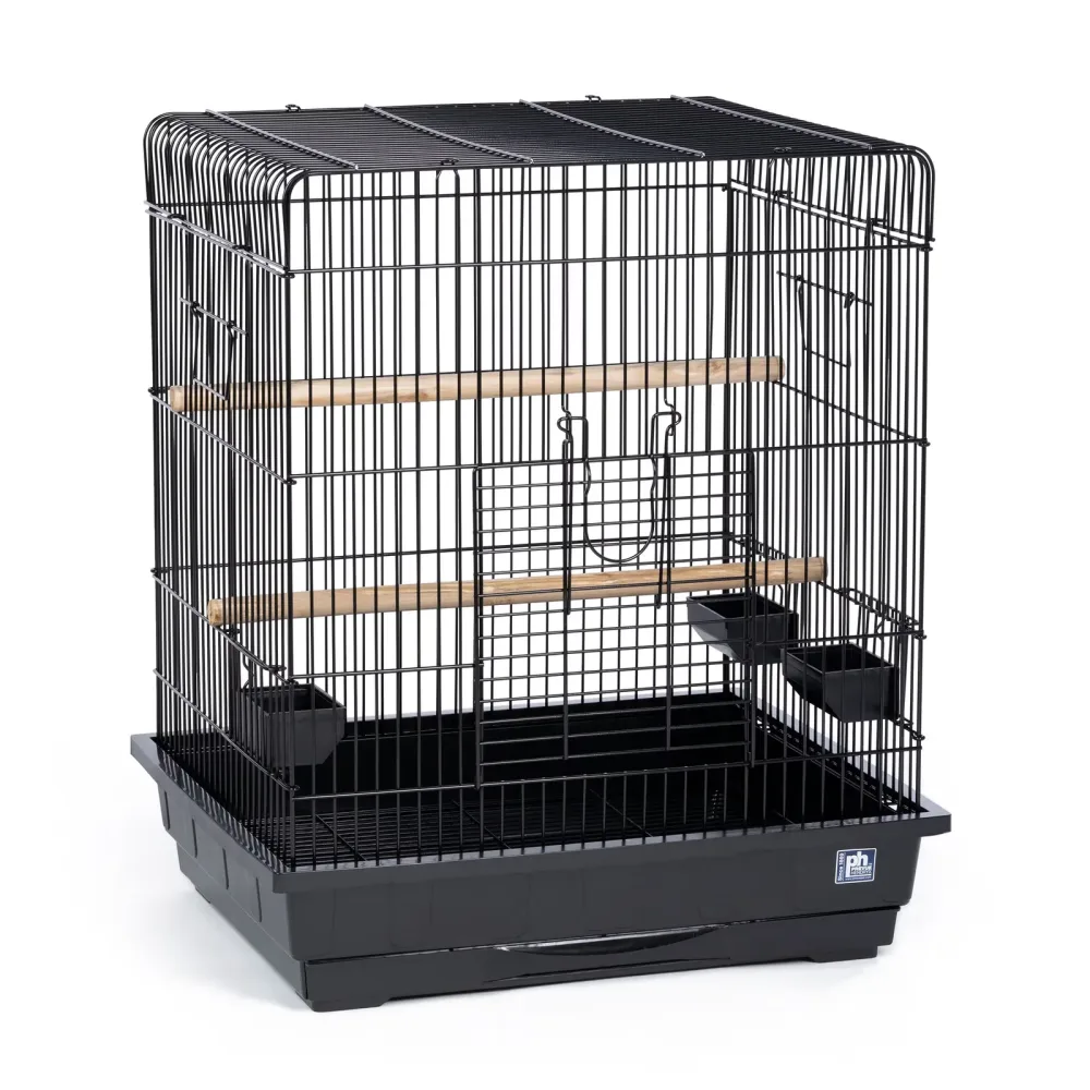 Parrot Bird black 25" 21"