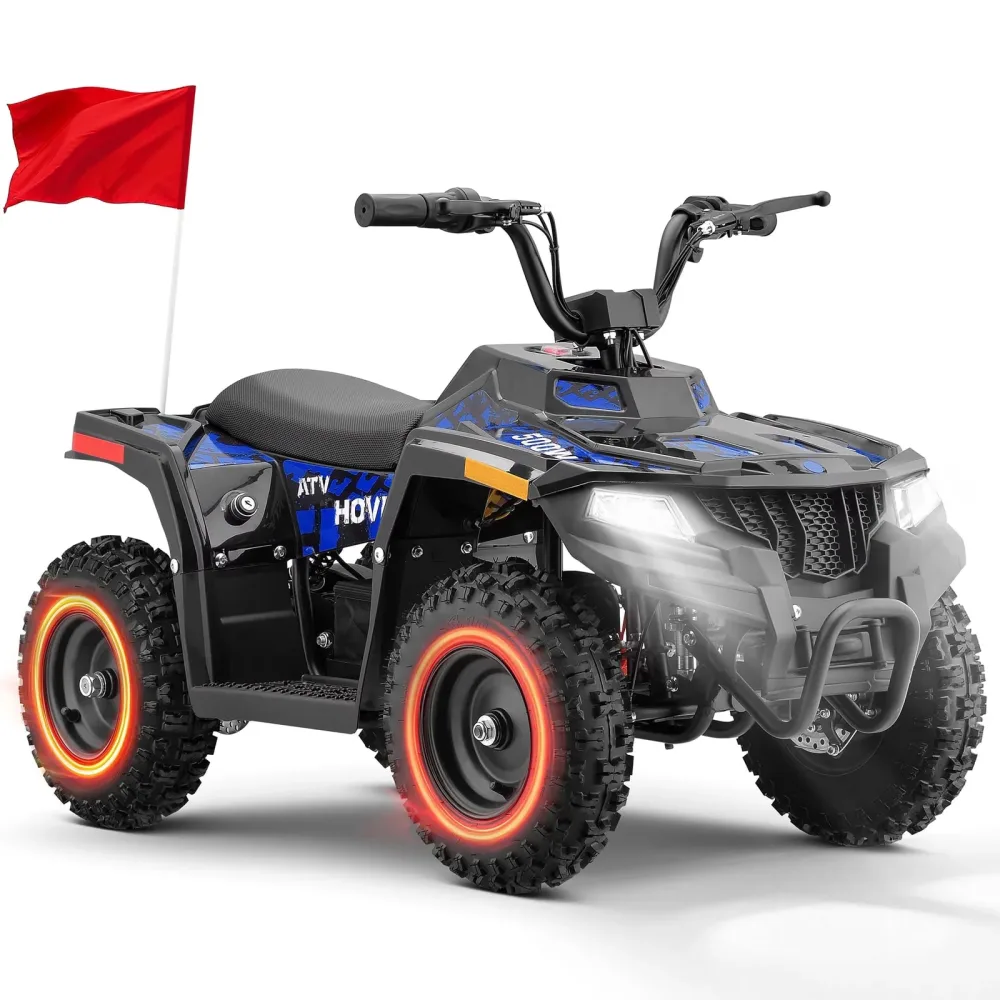 Electric 36v 500w blue