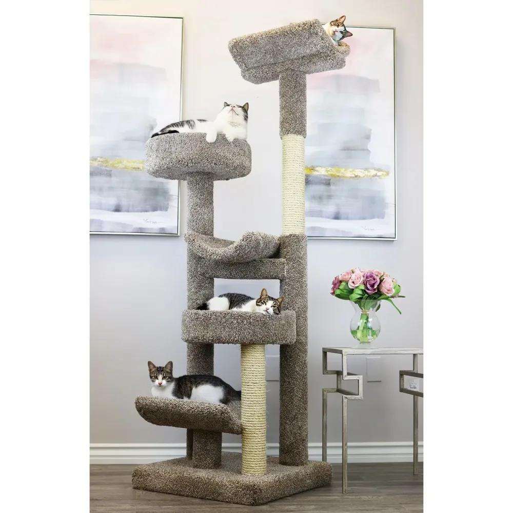 Furniture & Enrichment 40oz 65 lbs 72.00 inches