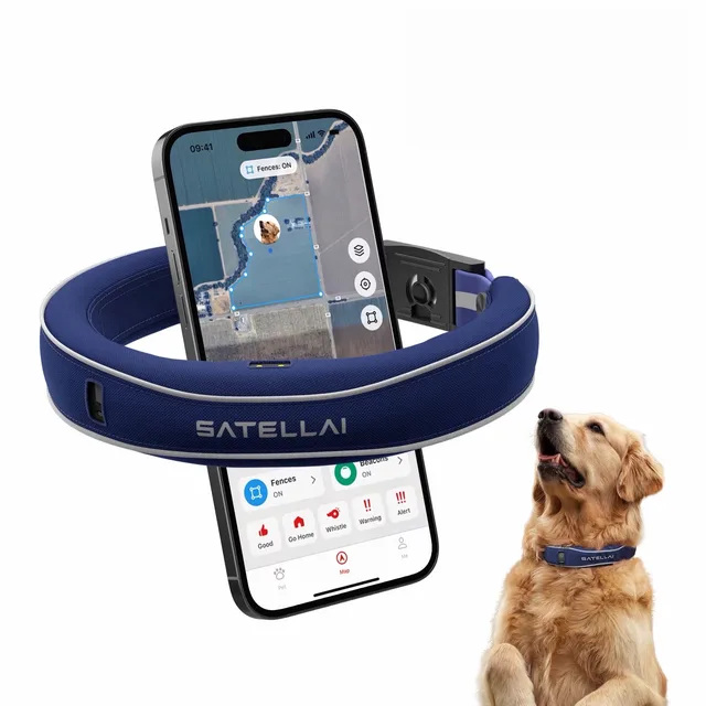 Collar wireless gray blue