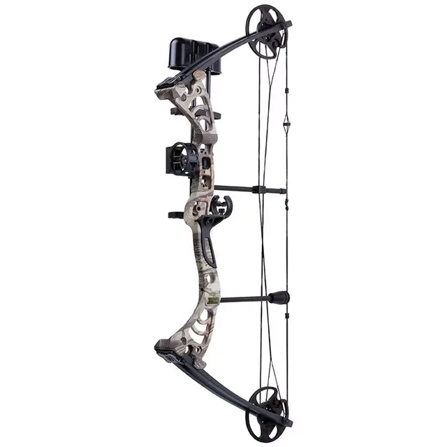 Compound Bow