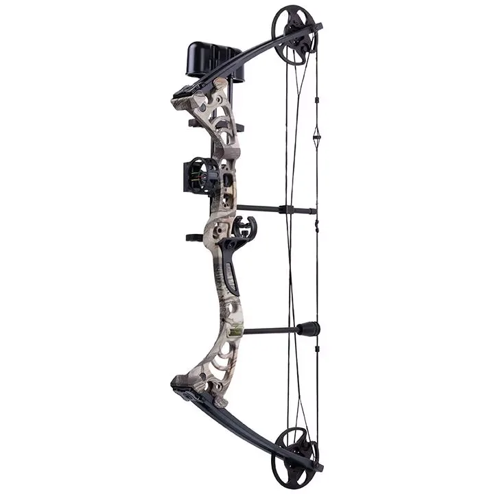 Compound Bow