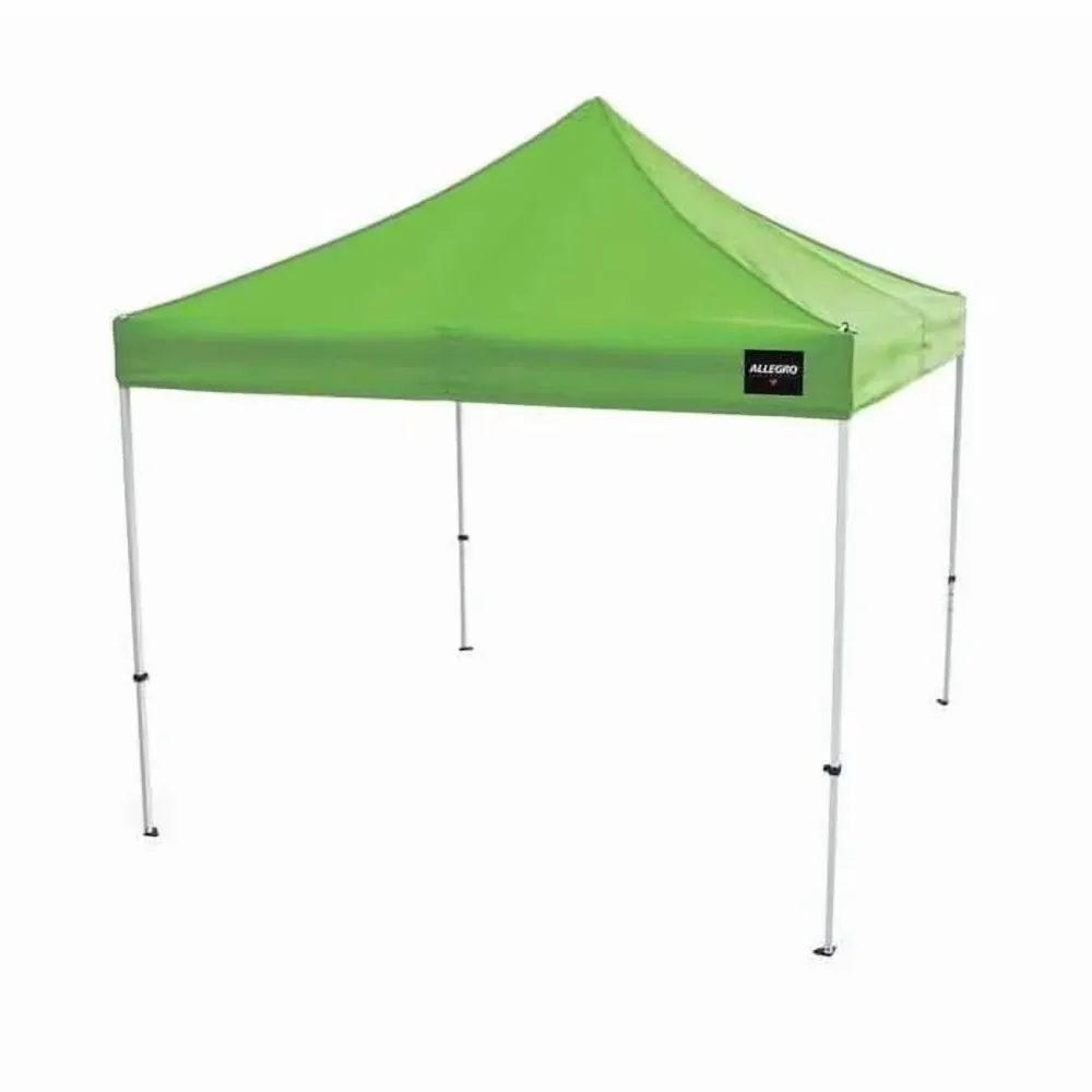 Canopy Shelter 6 ft 10 ft 9 in