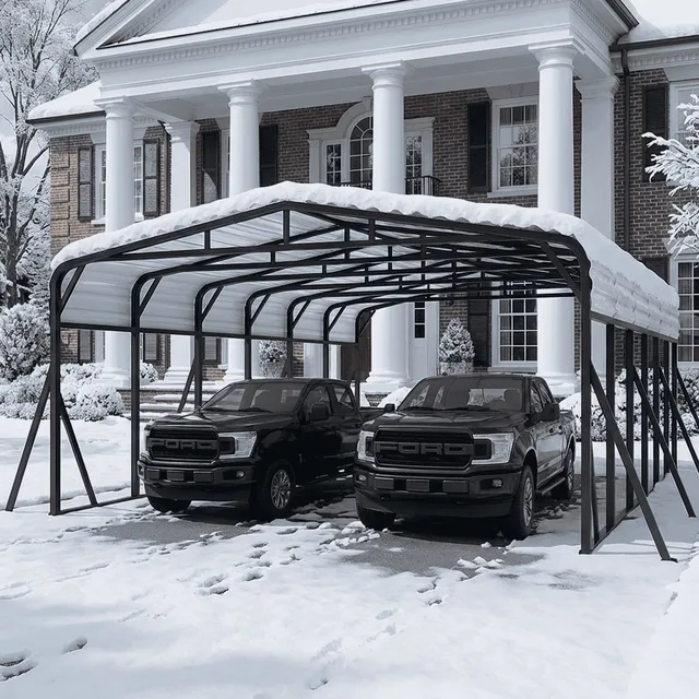 Carport Shelter 20' 30' 30ft