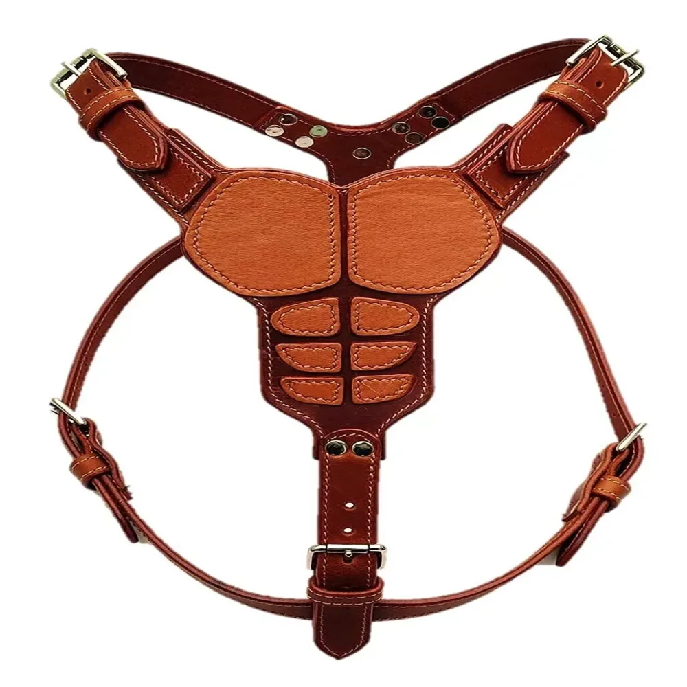 Collars & Travel adjustable heavy-duty