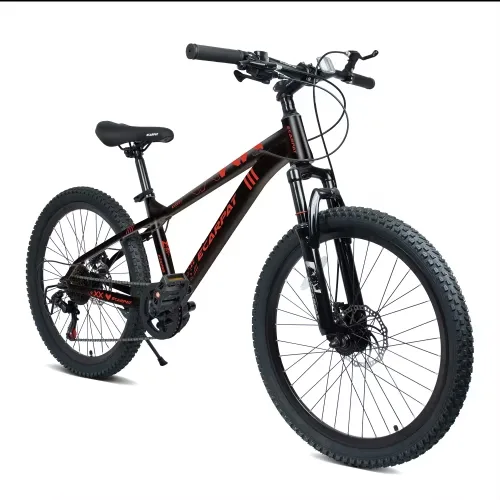 Mountain Bike 24 inch white red