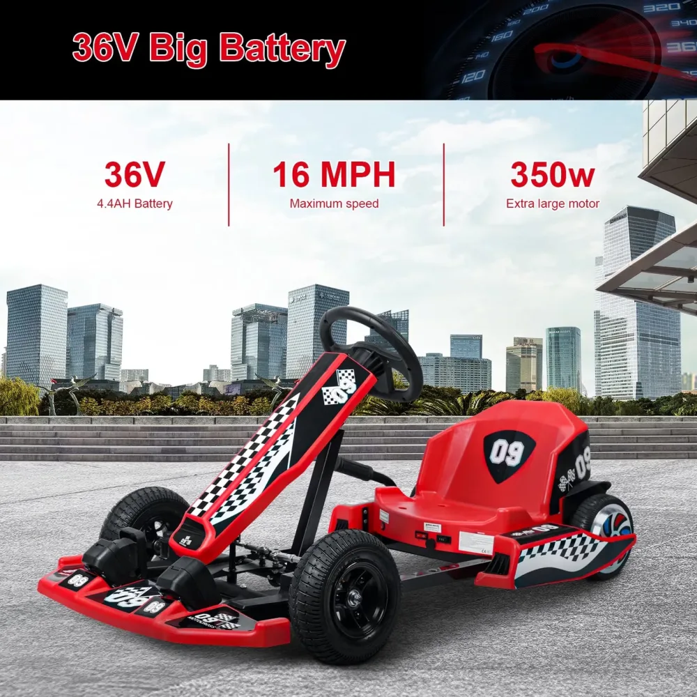 Electric 36v 350w 187lbs
