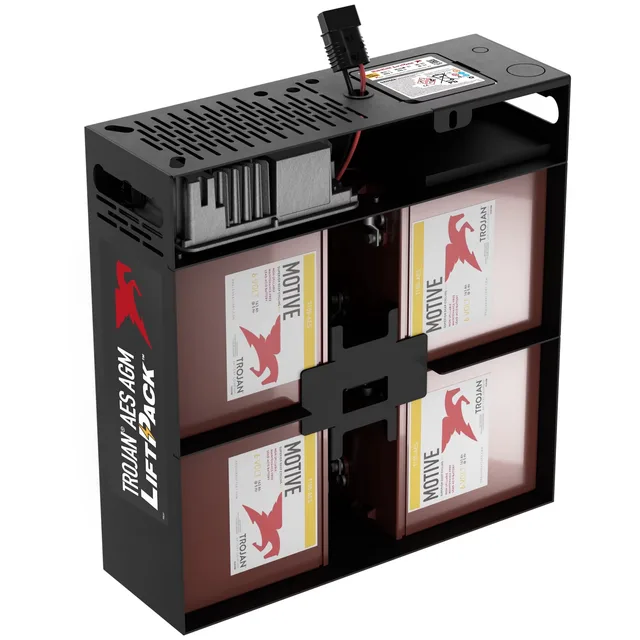 Battery 6v 24v 25.3"