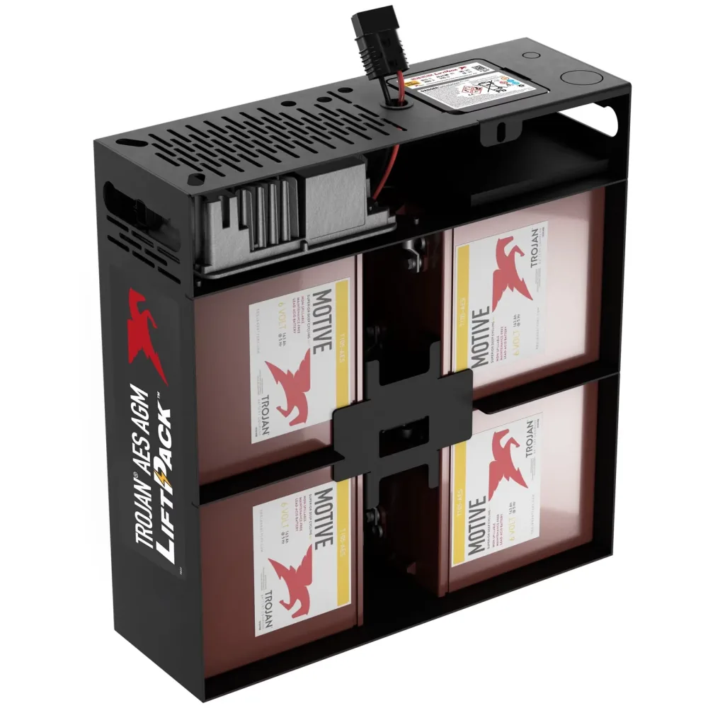 Battery 6v 24v 25.3"