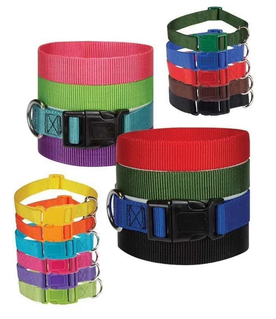 Dog Collar 10 inch