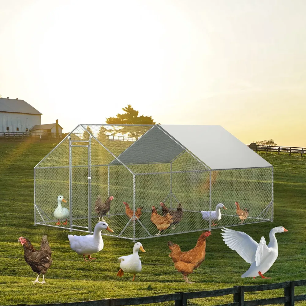 Chicken Coop 10' 26' 6.56'