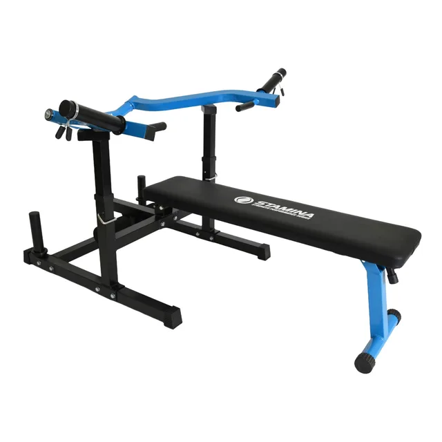 Strength Training adjustable black 250 pounds