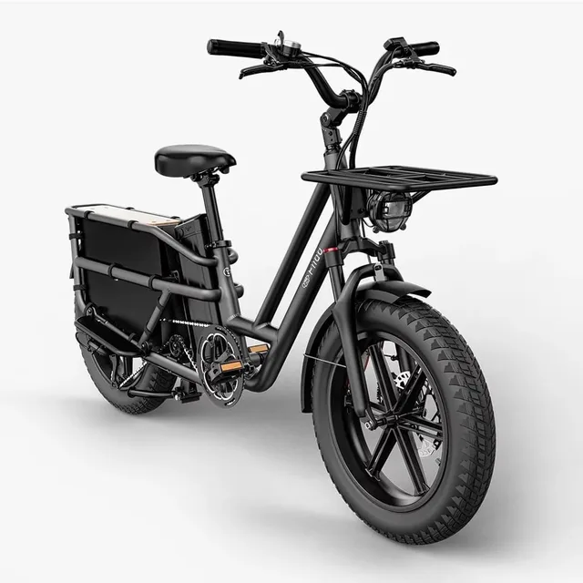 Electric Bike 750w black 10 mm