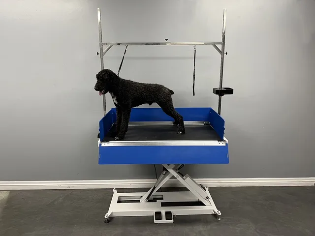Grooming Table 7 inches 300lbs 220v