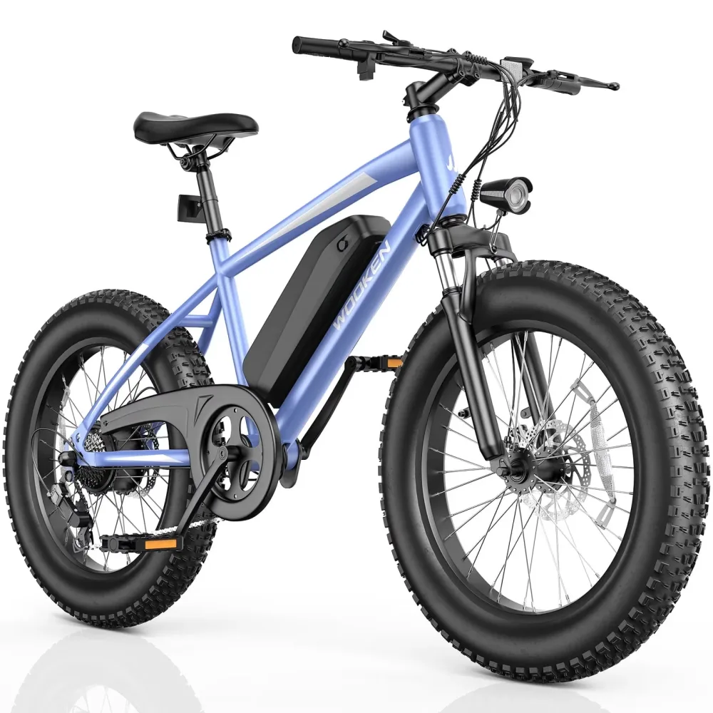 Electric Bike 4.0" 20" 750w