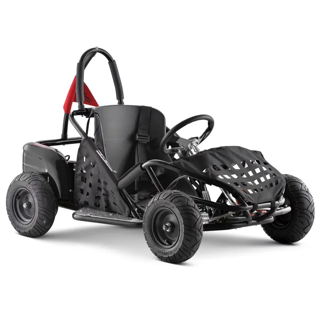Electric 1000 w black 48v