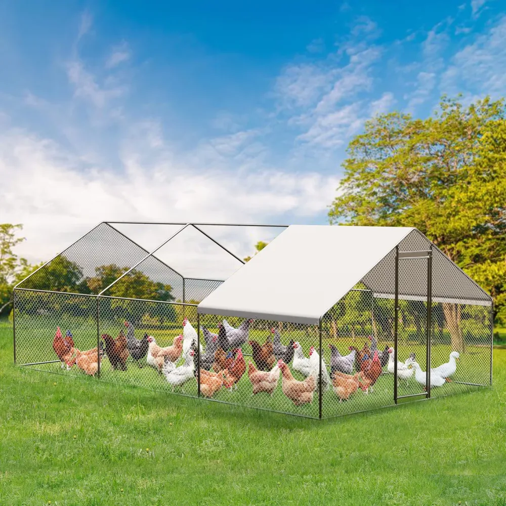 Chicken Coop 19.7' 9.8' 6.6'