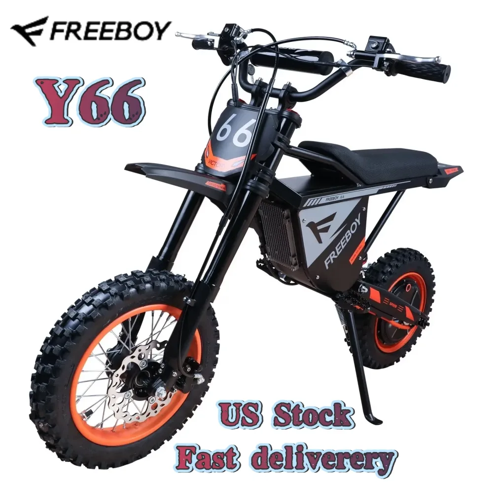 Dirt Bike 3000w 48v 12 inches