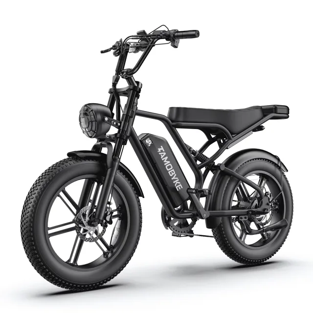 Electric Bike 750w 48v 20"